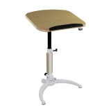Upside Height Adjustable Table/Lectern