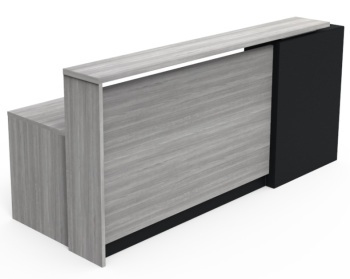 Reference Reception Desk