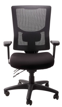 Madrid High Back Ergo Chair, 160kg rating