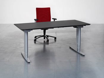 Arise Electric Height Adjustable Desk