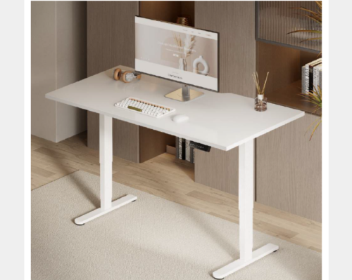 Stork Dual Motor Height Adjustable Desk