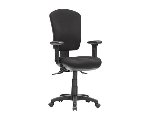 Ecotech 350 Ergonomic Office Chair