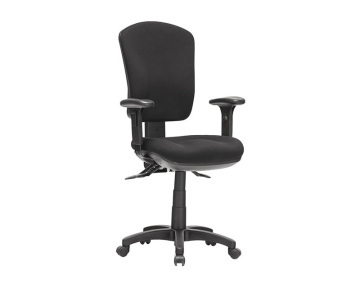 Ecotech 350 Ergonomic Office Chair