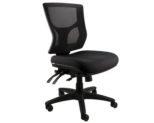 Seville Medium Back Ergonomic Office Chair, 160kg rating