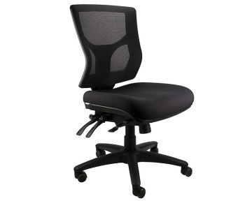 Seville Medium Back Ergonomic Office Chair, 160kg rating