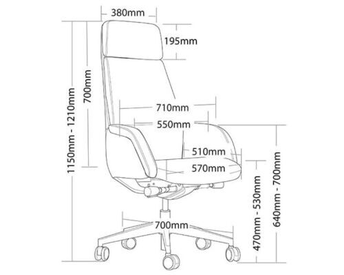 Captain High Back Executive Chair, Leather